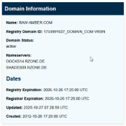 ICANN record thumbnail