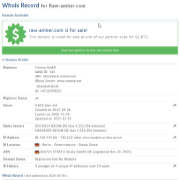 WHOIS record thumbnail